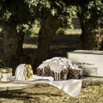 Fiasconaro_Colomba Oro di Manna - ambientata