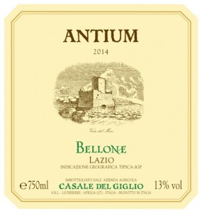 ET2014 ANTIUM bellone LR