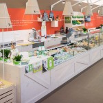 BelliniTrend_NaturaSi