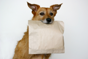 doggie-bag-resized-600