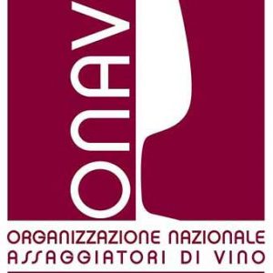 logo_onav