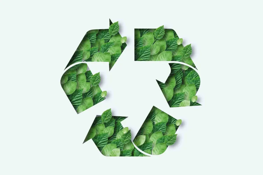 Why Tissue Paper is THE SMART CHOICE for a Sustainable World