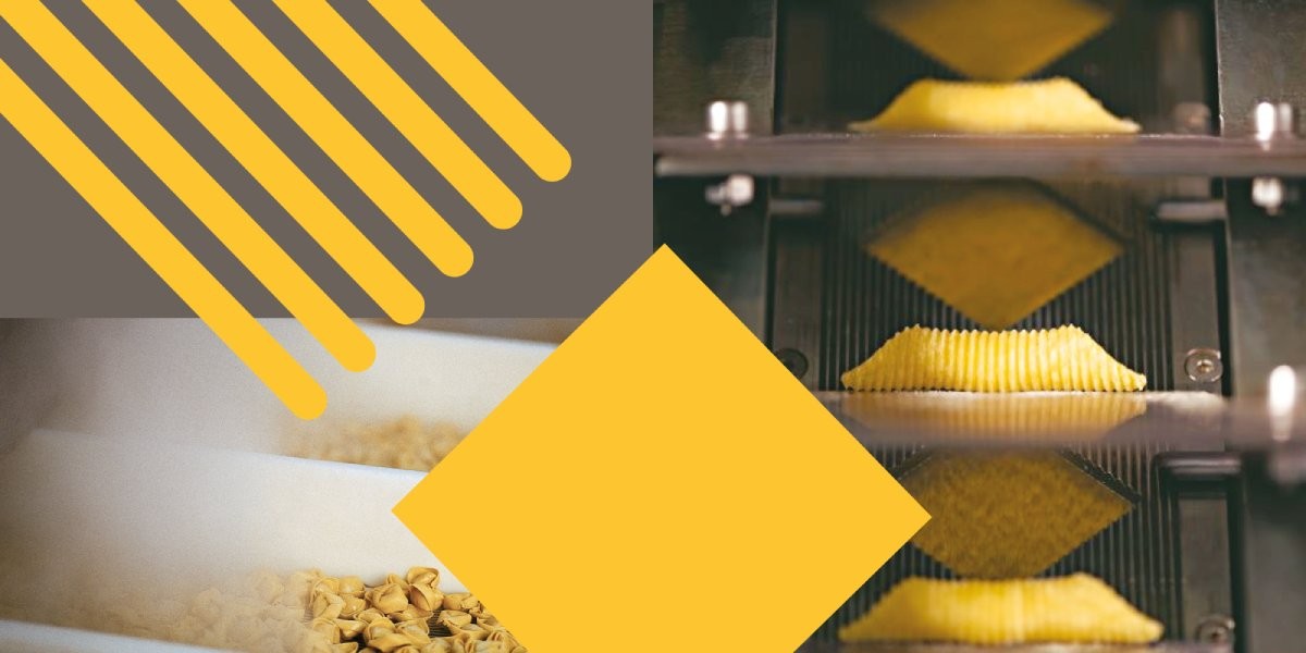 Surgital rinnova logo corporate e claim ('Celebrating freshness') 