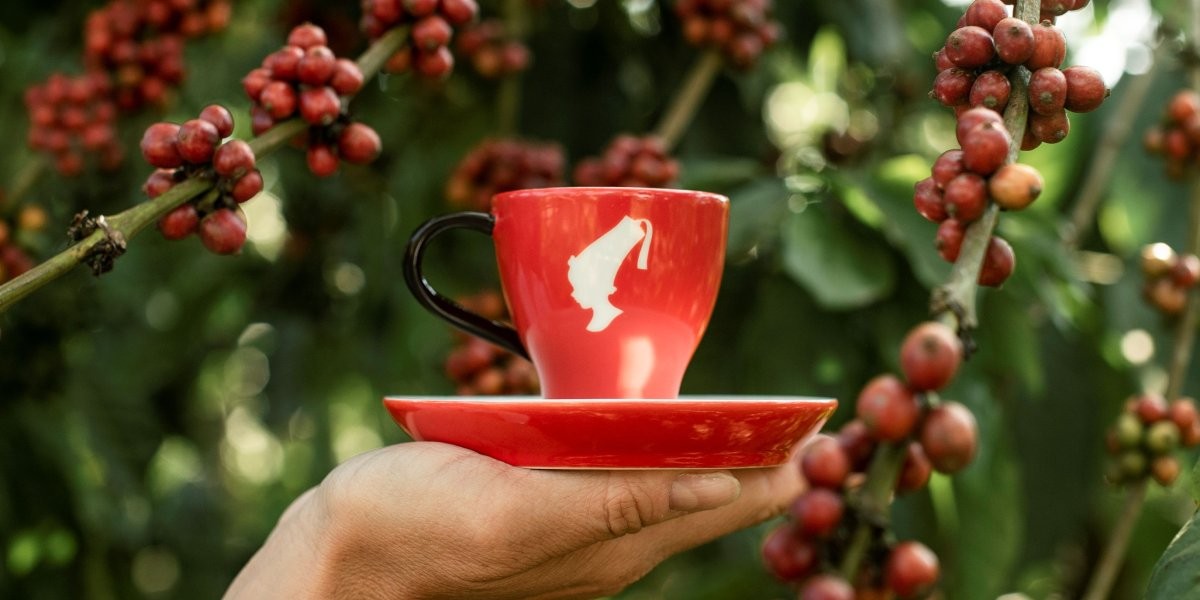 Julius Meinl raggiunge il 100% di Caff&egrave; &ldquo;selezionato responsabilmente&rdquo;