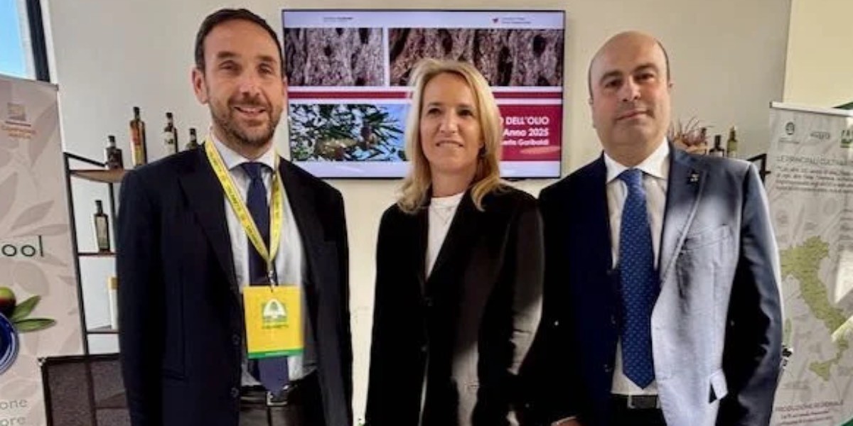 Cresce l&rsquo;Italia dell&rsquo;olio: l&rsquo;oleoturismo viaggia al +37%