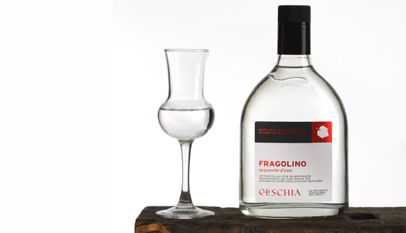 Speciale Grappa - Le proposte della Distilleria Giacomo Ceschia