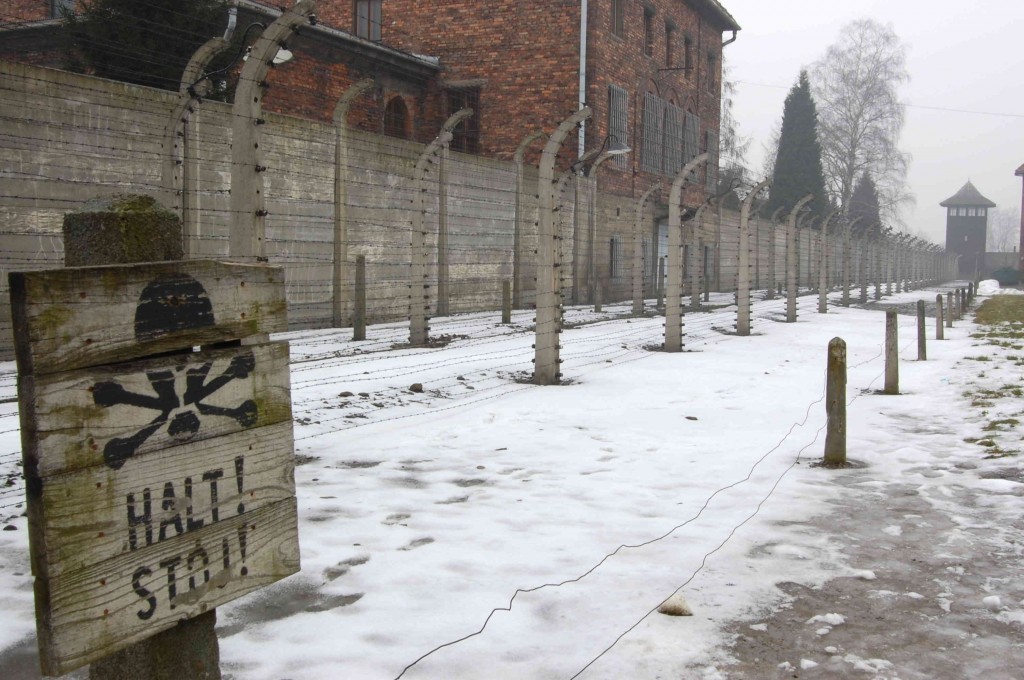 19 chef del Lazio sostengono il progetto “Il Treno della memoria”