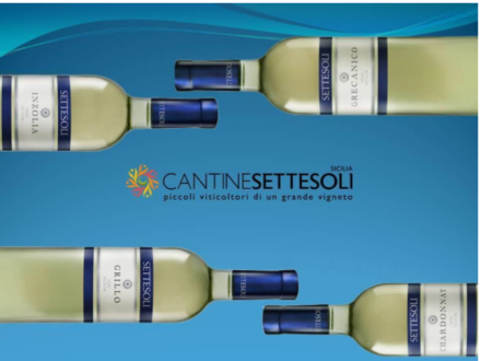 Cantine Settesoli presenta l’annata 2013 Doc Sicilia dei suoi bianchi