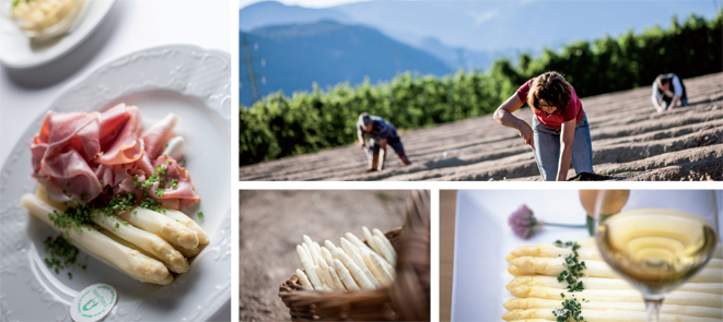 La Strada del vino dell’Alto Adige al sapore di… asparagi