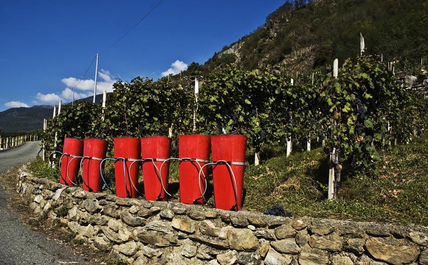 Wine tourism in Valtellina con tre nuovi pacchetti weekend 