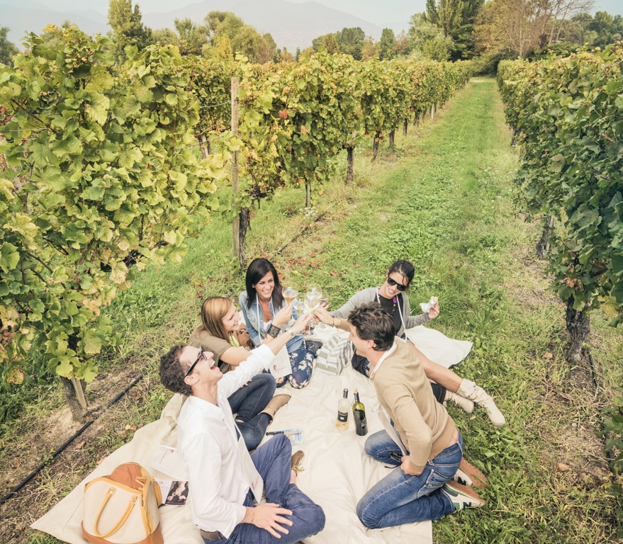 Sparkling pic nic Al Rocol in Franciacorta