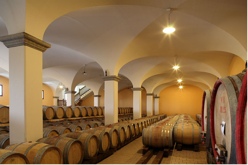 Annalisa Zorzettig: creatività, fantasia, tenacia e pazienza