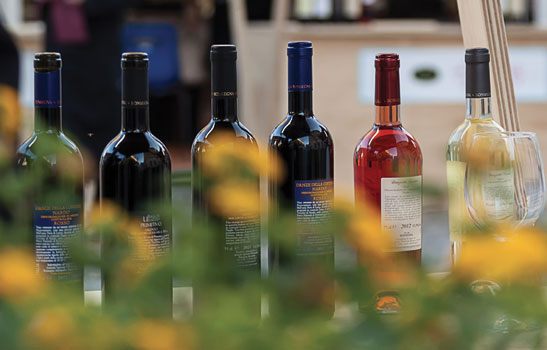 Cibarti Expo, Lecce ospita il meglio della produzione salentina