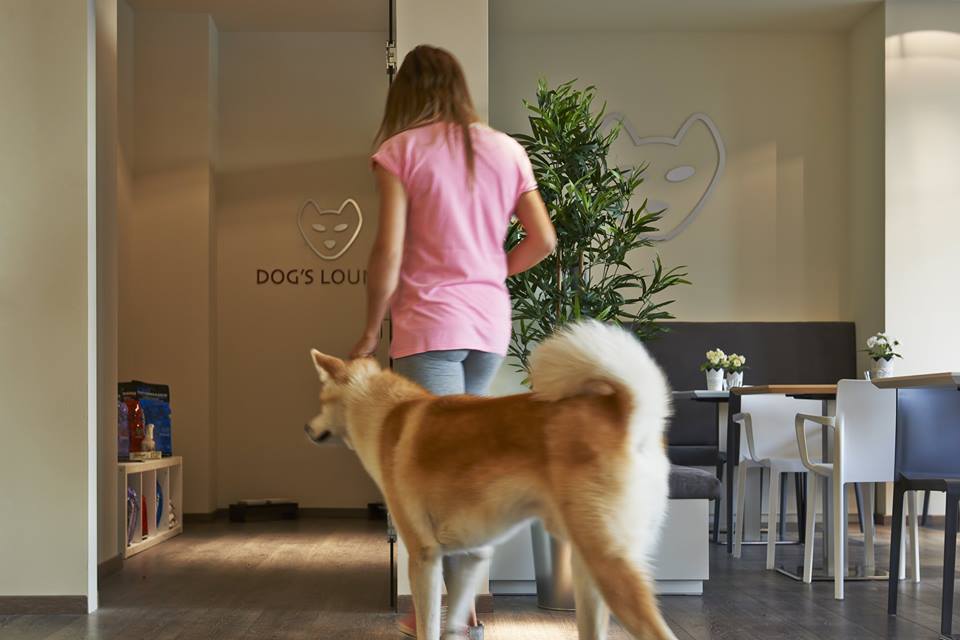 Nasce Akita, il bar “dog friendly”