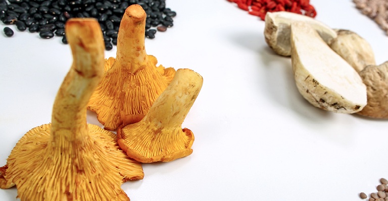 Cocofungo in tour: fino al 31 ottobre, il fungo è anche veg