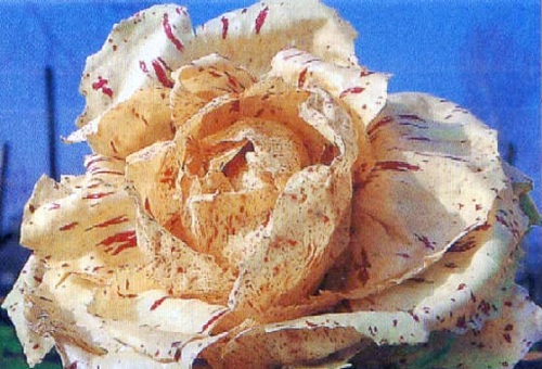 Il Natale a Castelfranco Veneto? Si festeggia con il radicchio