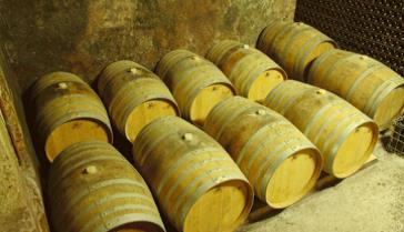 1701 Franciacorta, la vinificazione qui è biologica e biodinamica