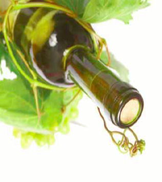 Vino, distributori a confronto