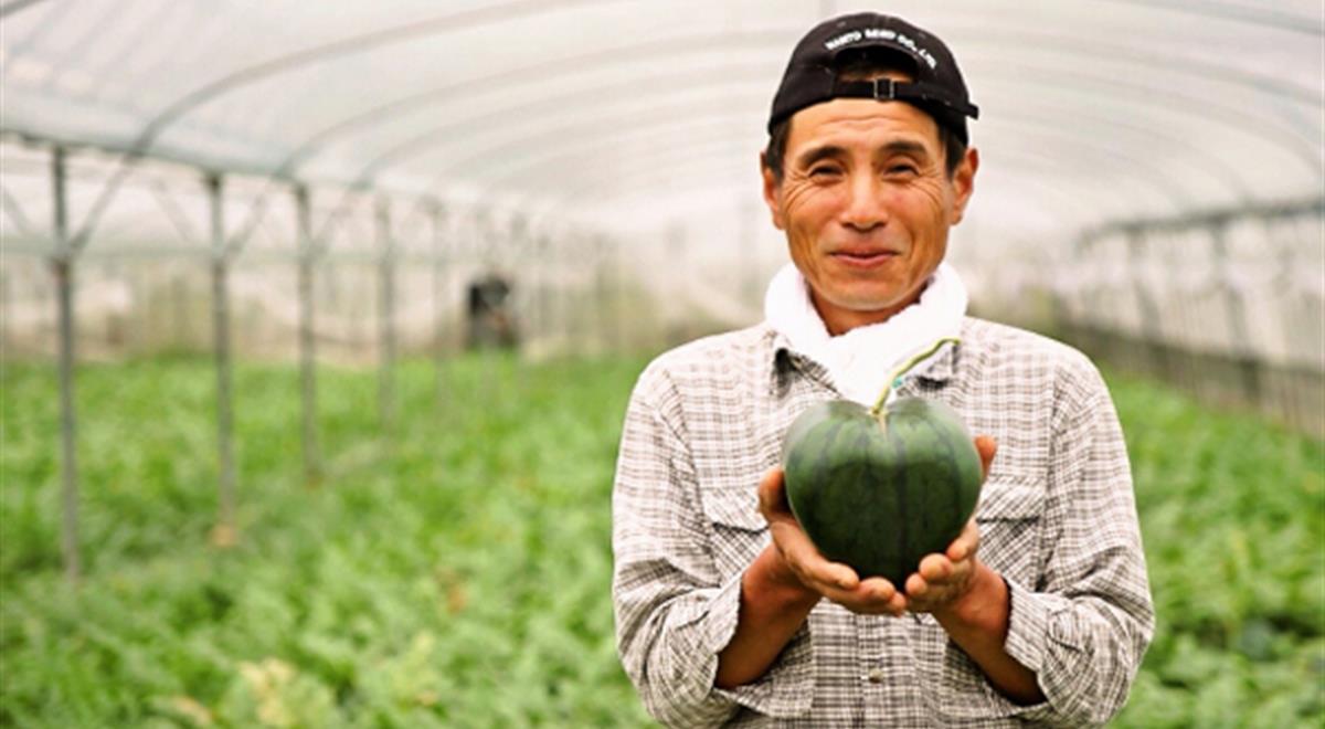 Hiroichi Kimura e l'anguria fatta a forma di cuore