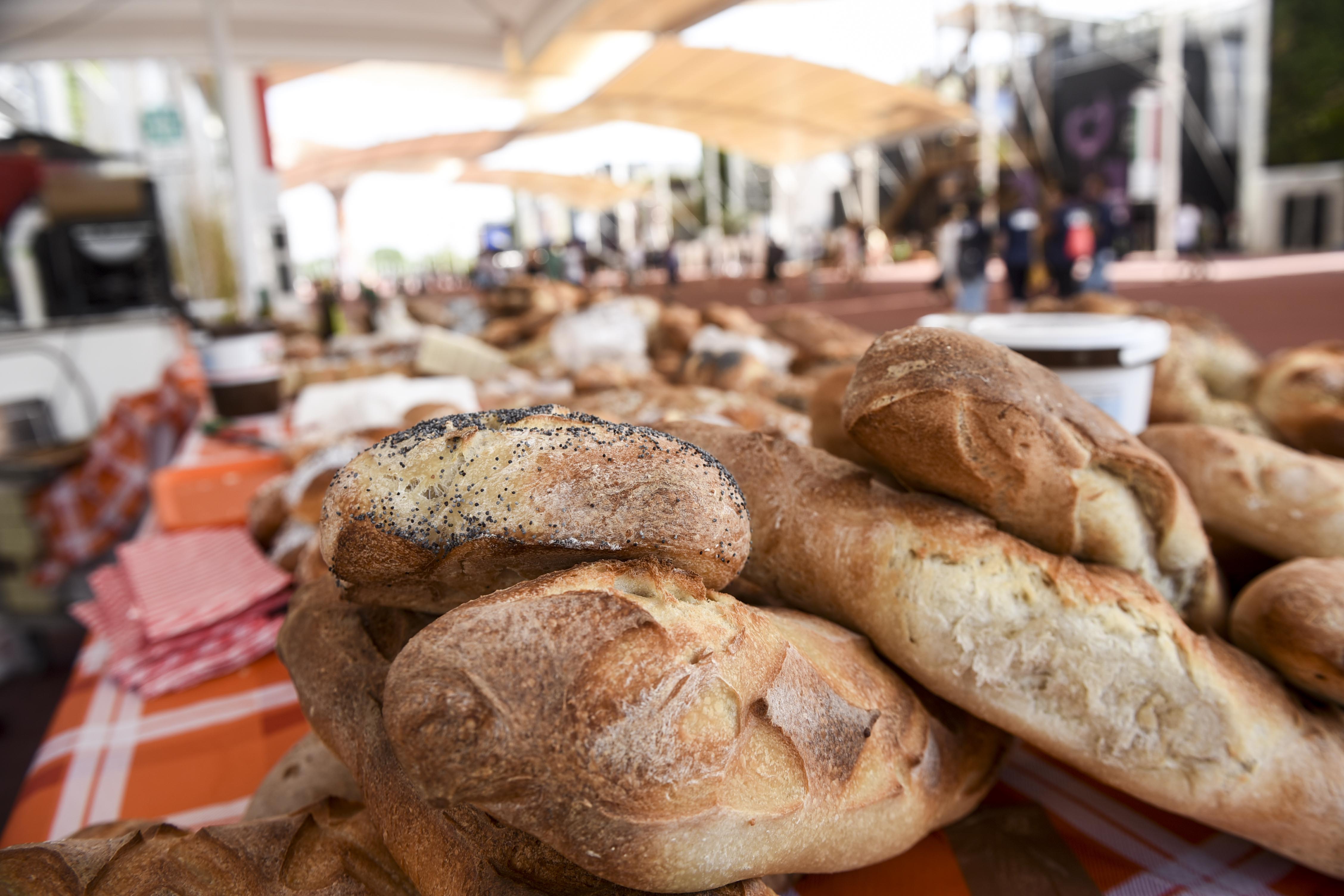 Expo Milano 2015 ha celebrato la 