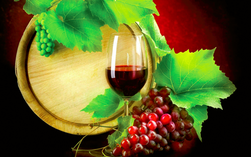 Vino prodotto come bio comanda