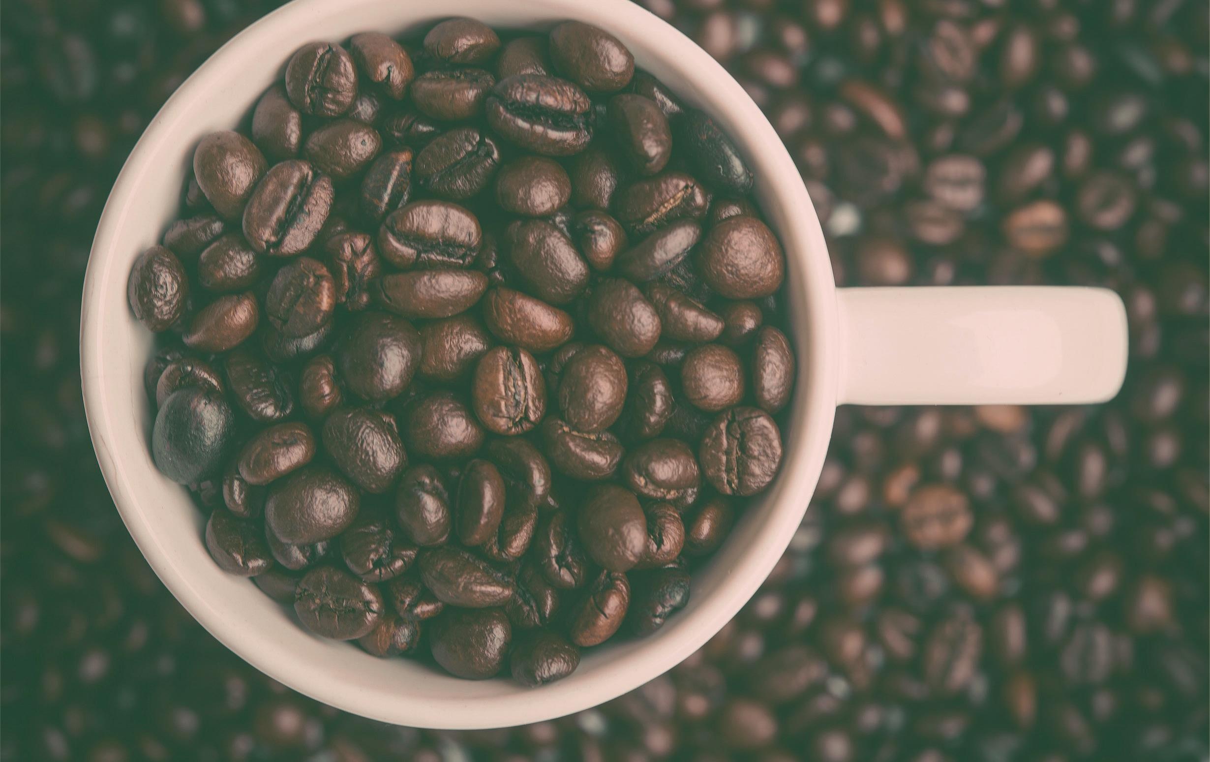 Global Coffee Forum: la community del caffè si riunisce a Milano