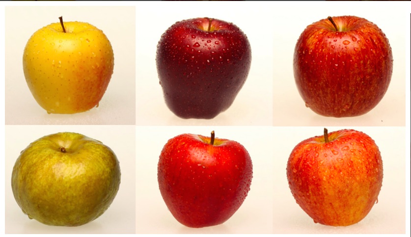 La regina delle Mele si incorona a Pomaria 