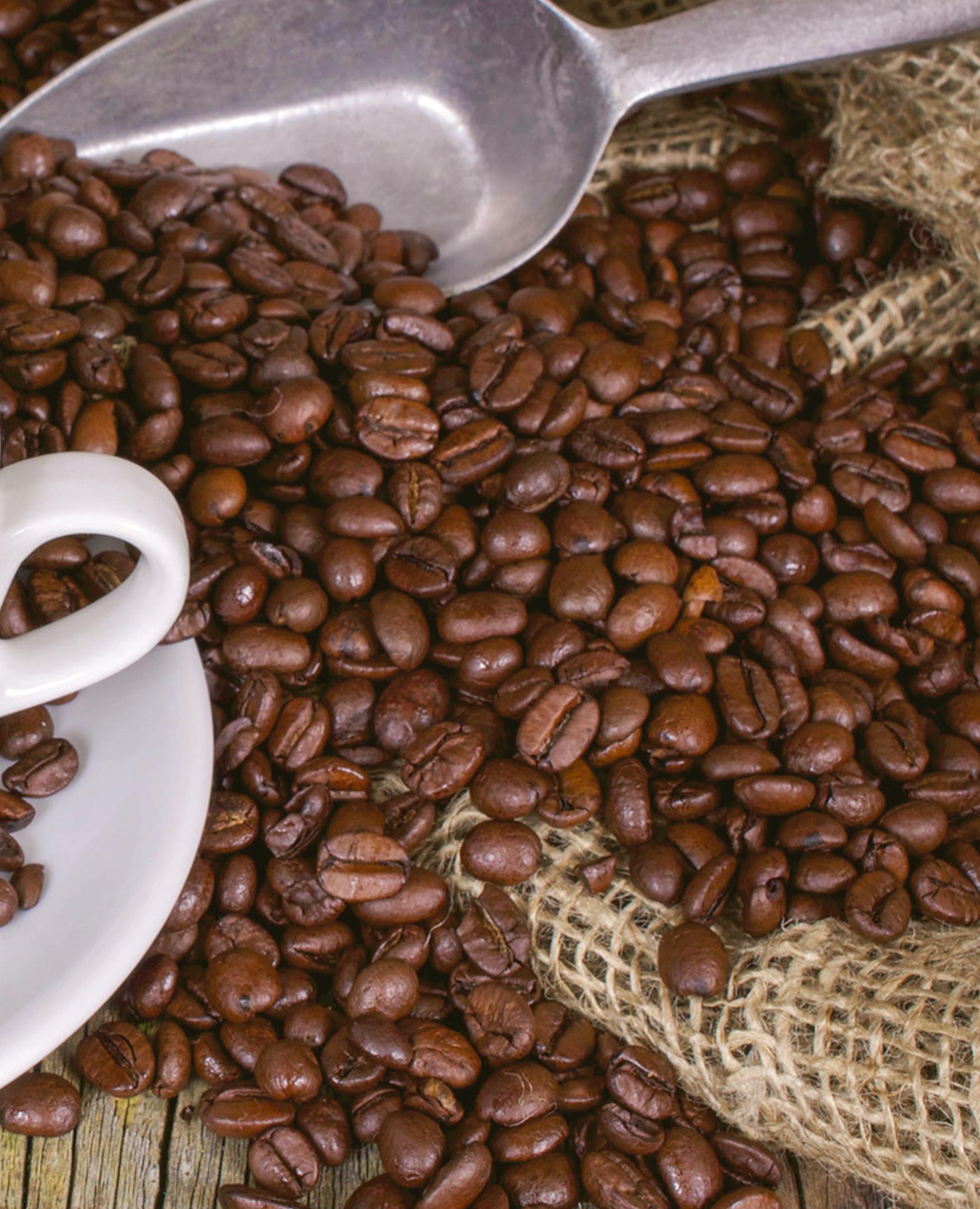 Innovazione, competenze e creatività: il caffè conquista il mondo