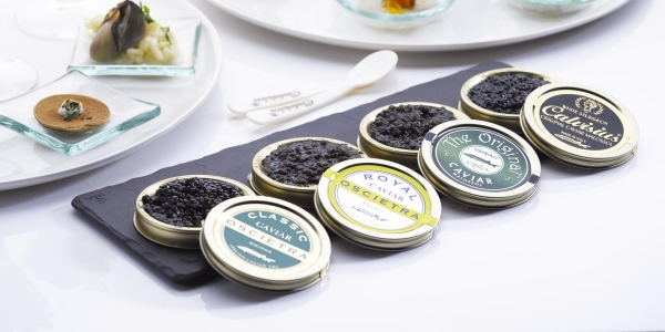 La collection 2016 di Calvisius