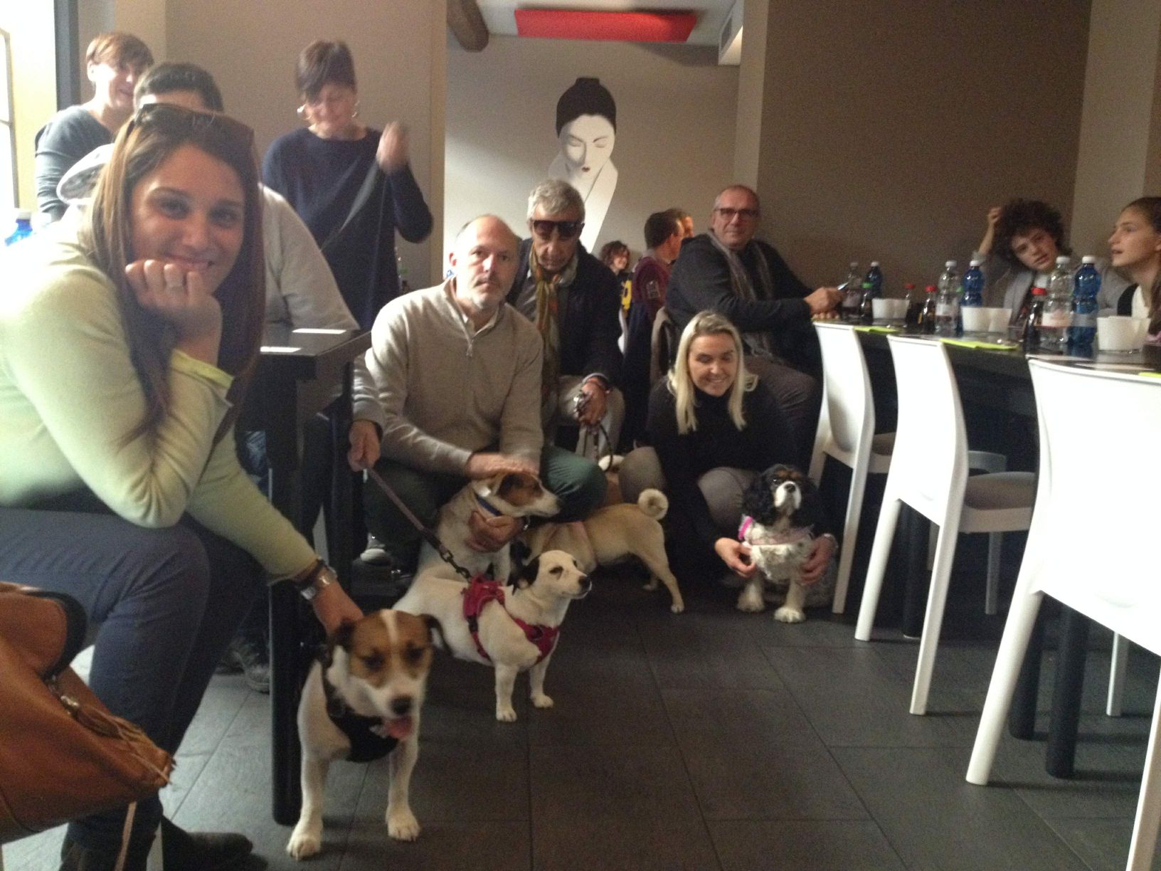 Cani al ristorante: esempi di buone maniere