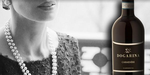 Obiettivo Cina per Dogarina