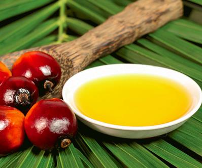 Olio di palma: quali caratteristiche al di là delle accuse