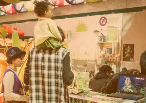 La canapa a tavola fa bene al cuore. Ed è ideale per celiaci e vegani