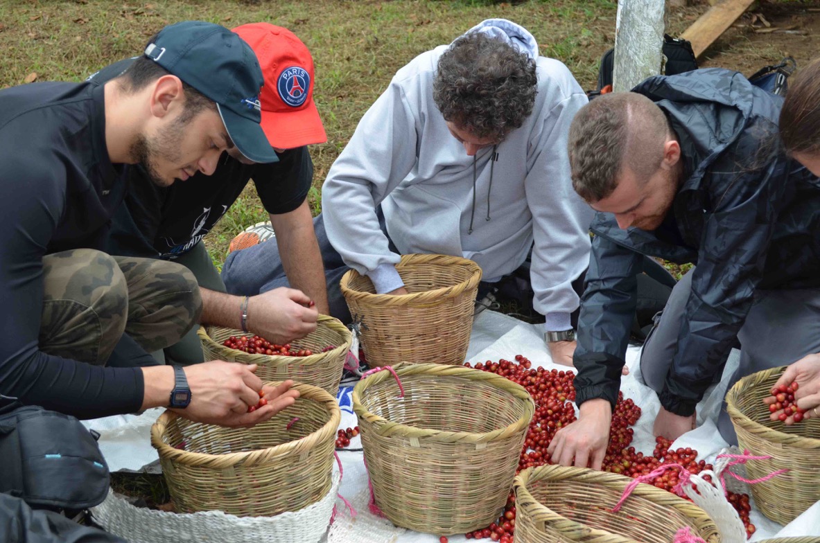 Umami Kaffee Camp, la formazione sul caffè parla tedesco