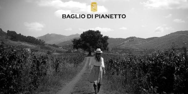 Baglio Di Pianetto, il vino biologico e certificato