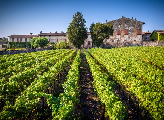 Berlucchi, la Franciacorta da vivere, assaggiare, ascoltare