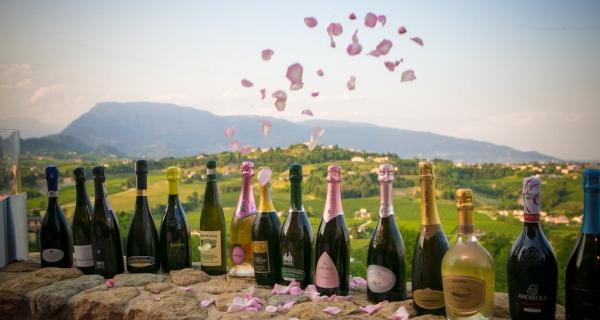 Cinquanta cantine in vetrina a Ca' Del Poggio