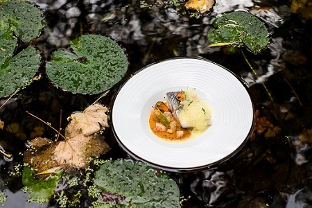 Il Portogallo brilla anche in cucina: oggi sono 26 le stelle Michelin