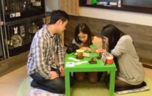 A Tokyo apre il bar dei conigli