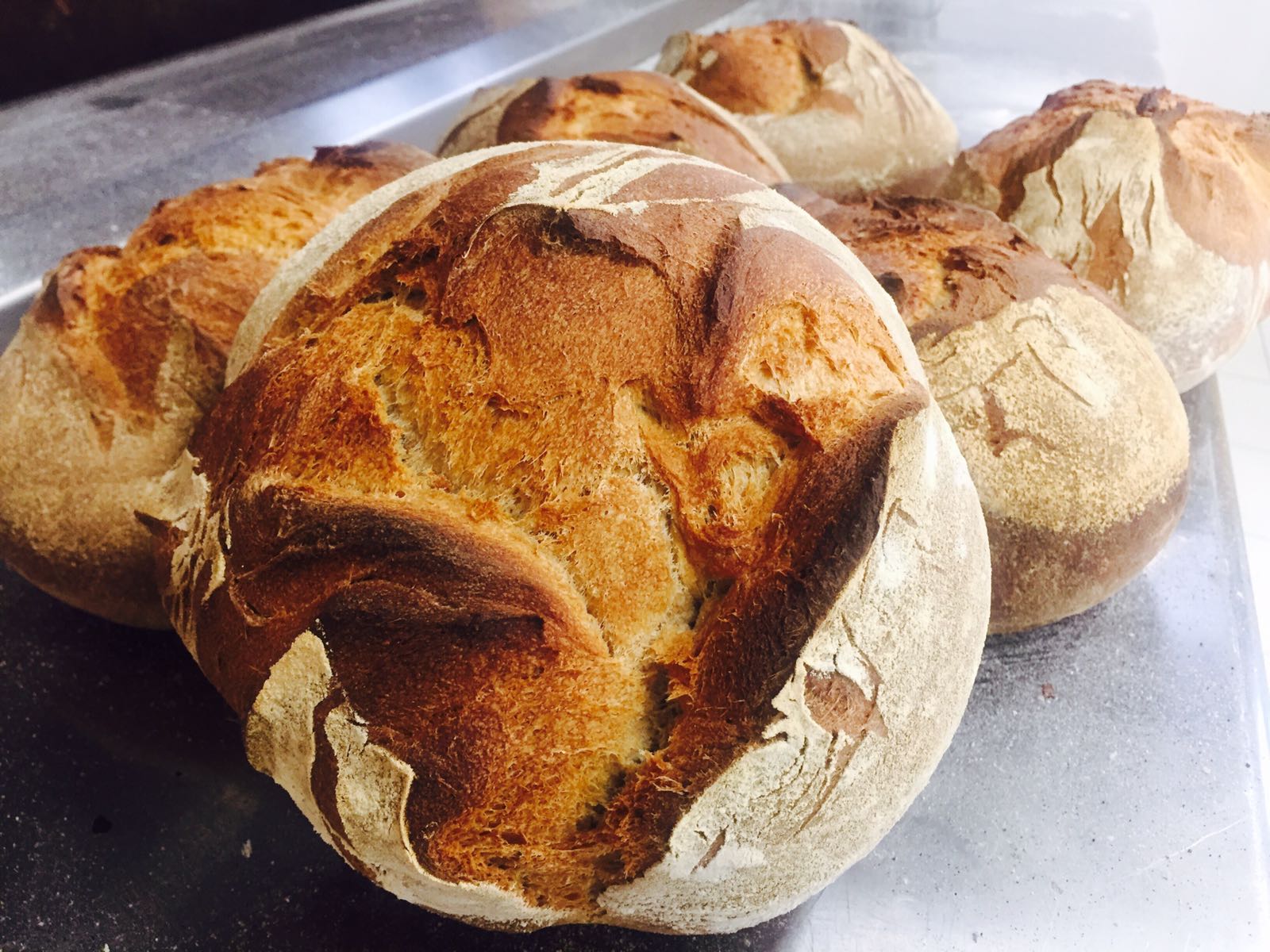 Dall'Umbria la nuova farina Ottocento, per fare 