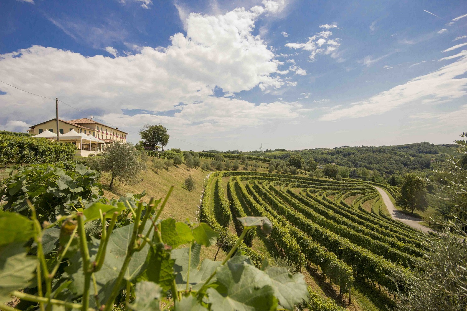 Astoria festeggia 30 anni a Vinitaly: tre nuovi vini e brindisi in Rosa