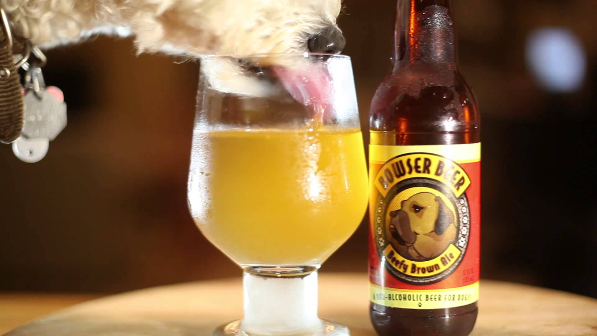 Arriva Bowser Beer, la birra pensata per i cani