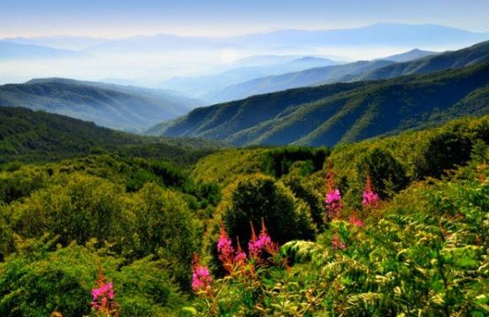 Dal 18 al 20 giugno in Casentino l’Italian Cuisine in the Word Forum