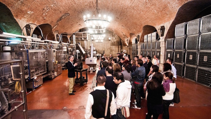 Tour di degustazioni da Iseo alle cantine della Franciacorta, ma in bus!