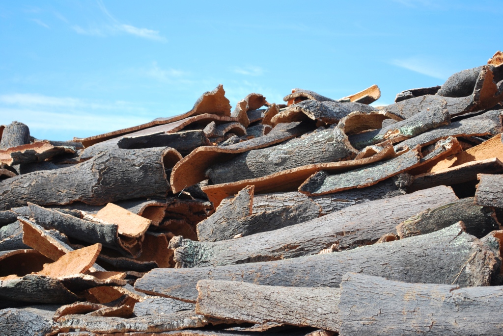 Amorim Cork, perfezione sensoriale garantita fin dalla plancia
