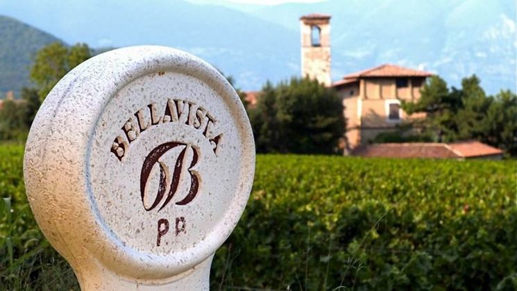 Franciacorta, Bellavista non anticipa la vendemmia
