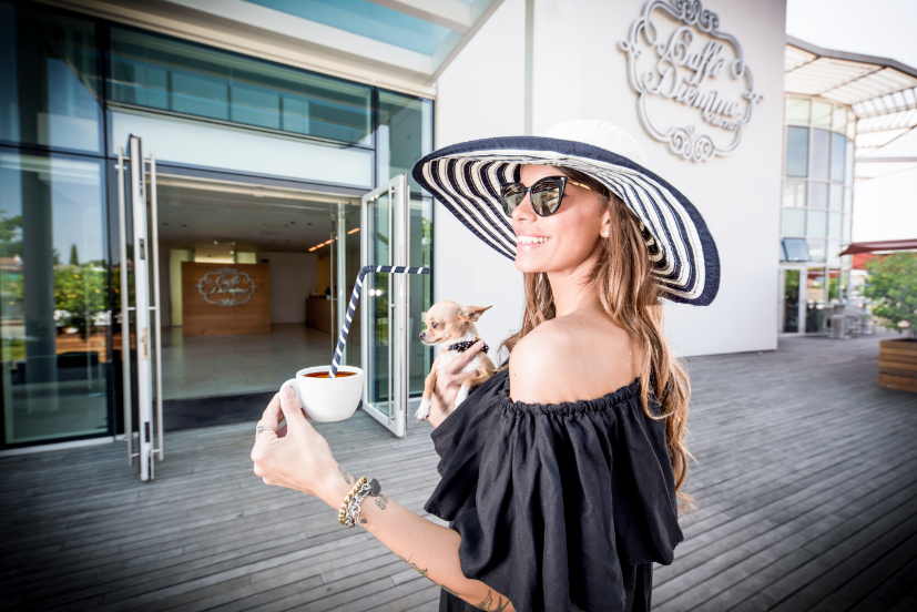 Diemme porte aperte: arte, storia ed evoluzione del caffè