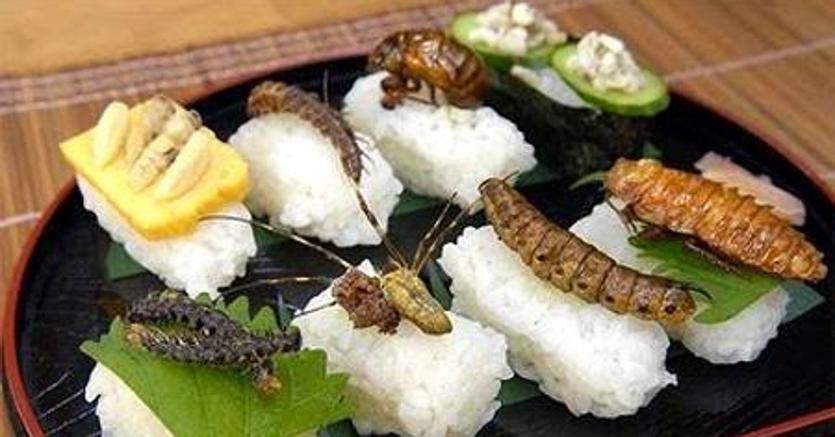 Novel food: dal 2018 semaforo verde per larve, cavallette e insetti