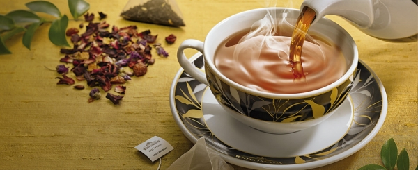 Whittington, un nuovo infuso per l’autunno-inverno 2017