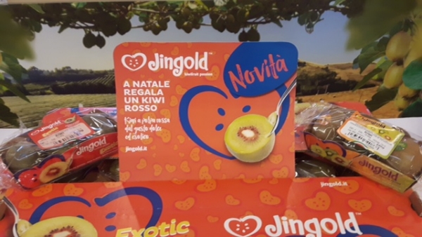 Jingold presenta il kiwi rosso